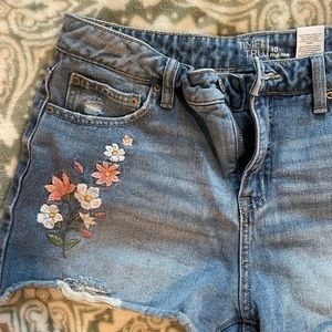 Embroidered Denim Shorts